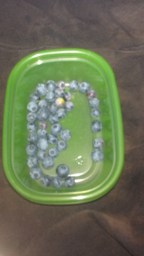 blueberryharvest.jpg